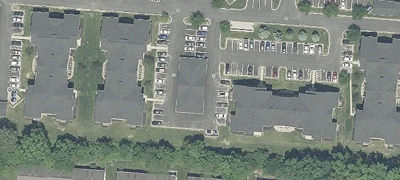 Sedge Ln