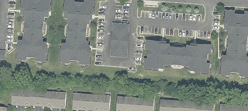 Sedge Ln