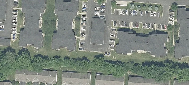 Sedge Ln