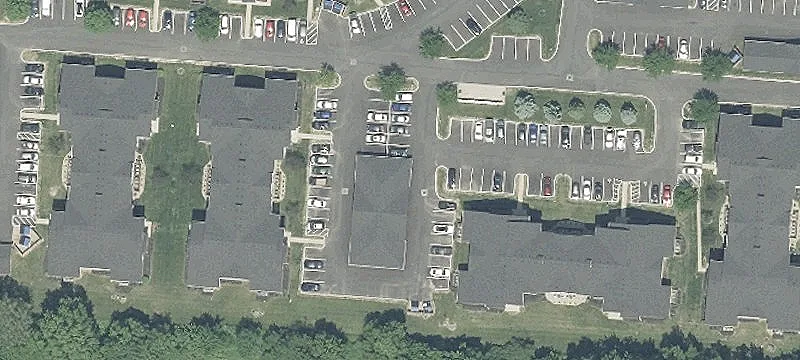Sedge Ln