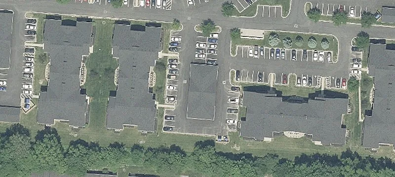 Sedge Ln
