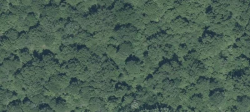 9500 Broad SW St