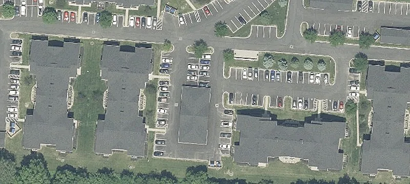 Sedge Ln