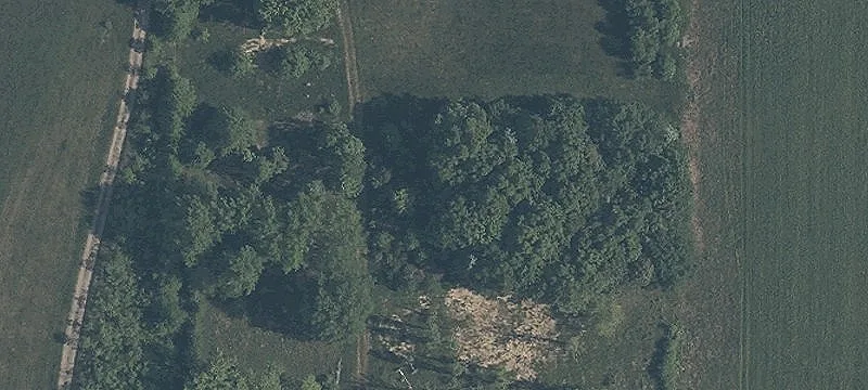 6220 State Rte 303