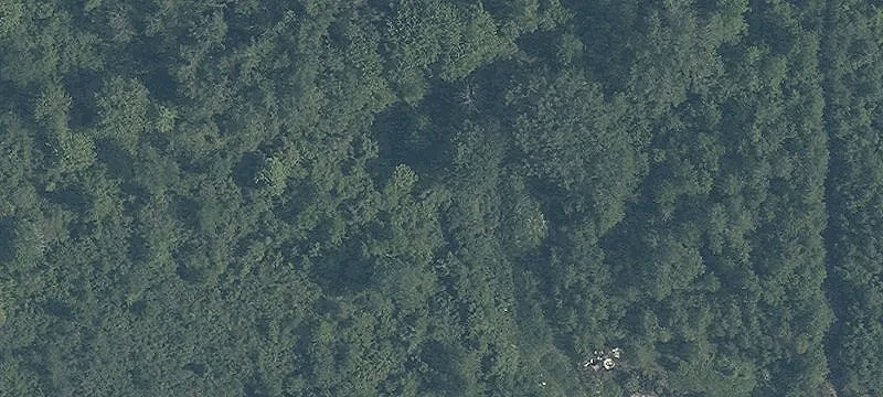 130 Fairport Nursery Rd