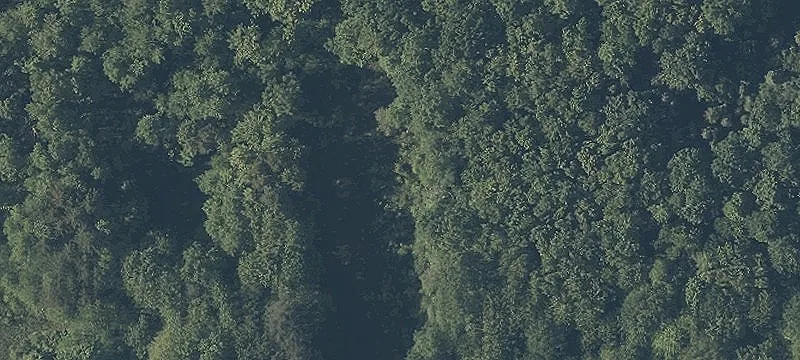 Seasons Rd