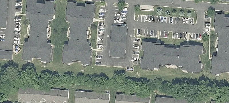 Sedge Ln