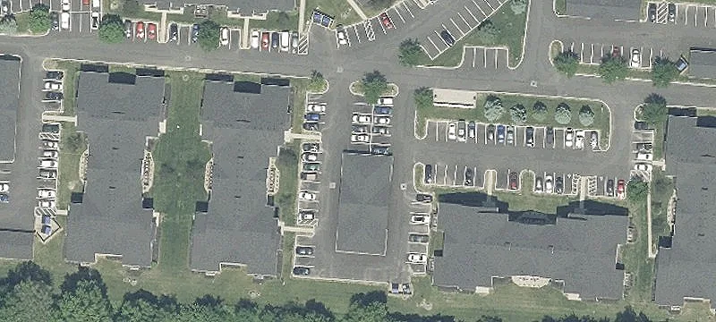 Sedge Ln