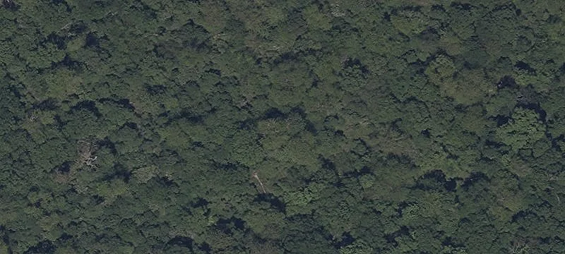 3645 Confederate Dr