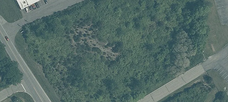 Grand Oaks Dr