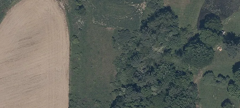 6597 Ctr Rd