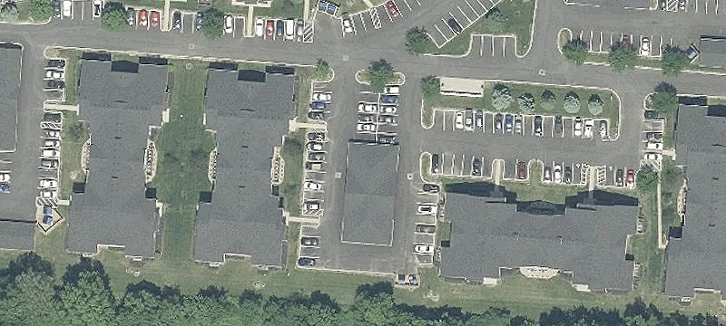 Sedge Ln