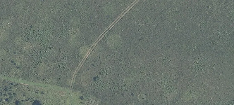 26555 State Rte 37
