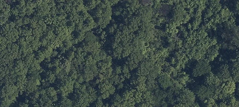 Rear Land Land
