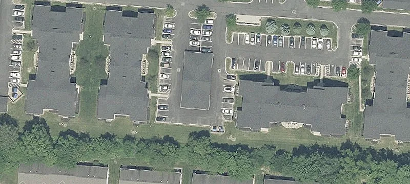 Sedge Ln
