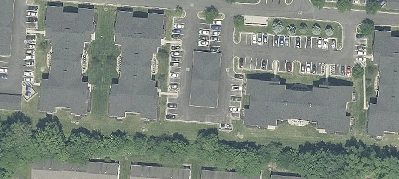 Sedge Ln