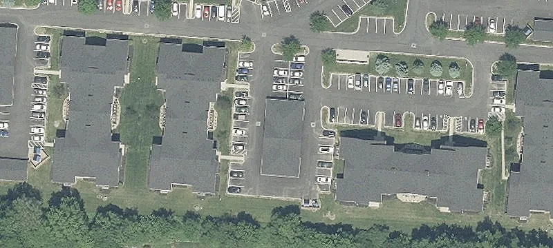 Sedge Ln