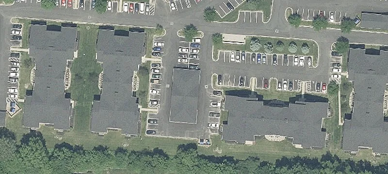 Sedge Ln