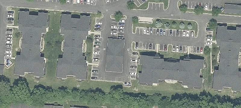 Sedge Ln