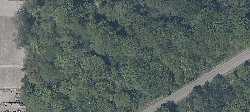 Griswold Rd