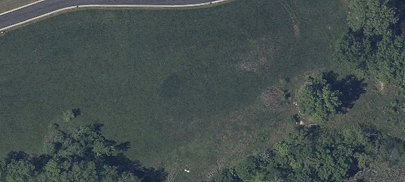 Carrick Dr