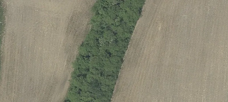 1363 State Rte 61