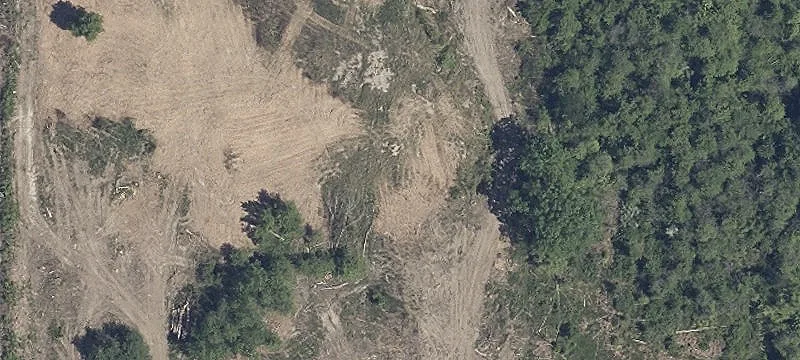 Rear Land Land