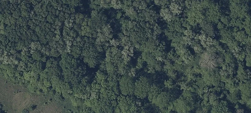 Long Rd