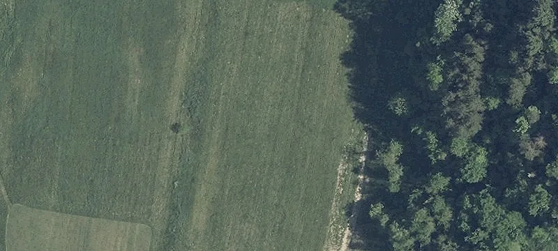 Elk Dr