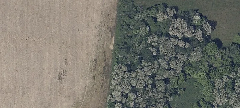 1010 Marks Rd