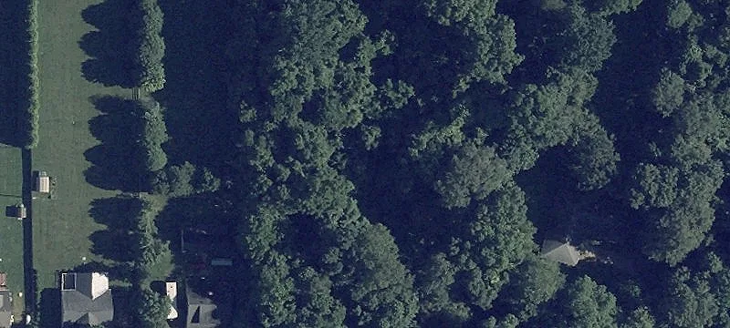 Jackson Rd