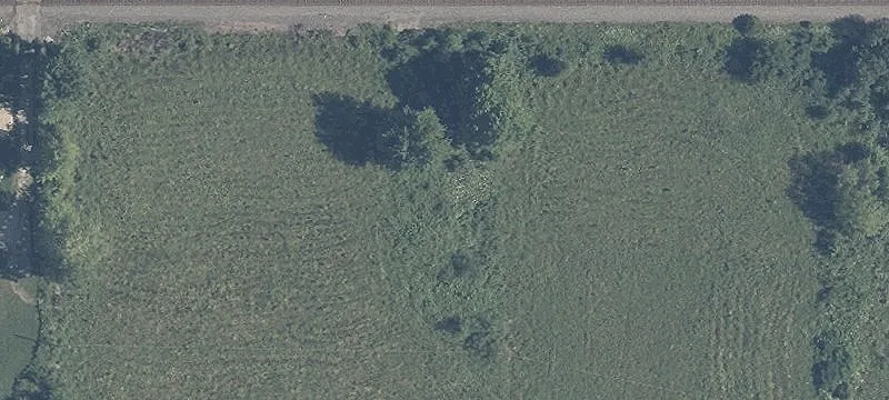 Marion Agosta Rd
