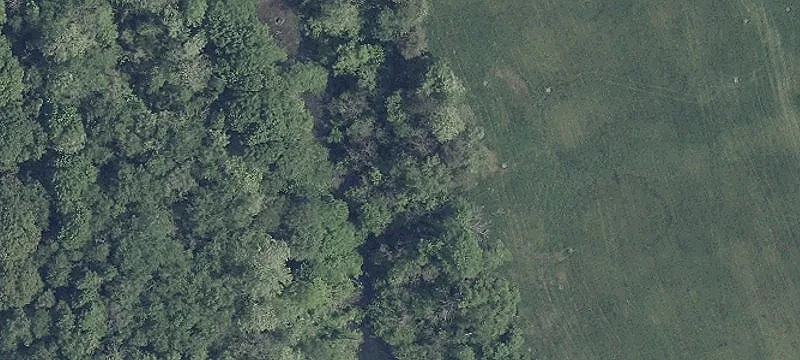 R Black Oak Rd