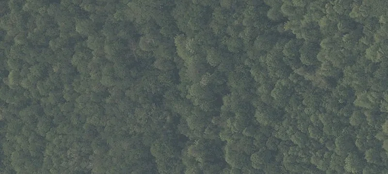 Gtwy Ave