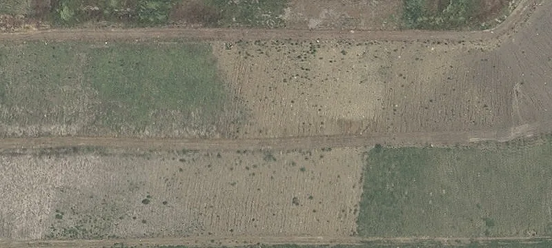 Alledonia, OH 43902