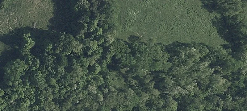 Rear Twp