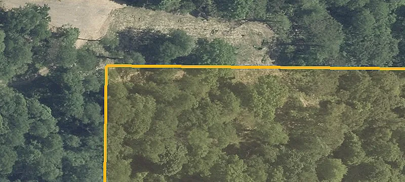 State Rte 800