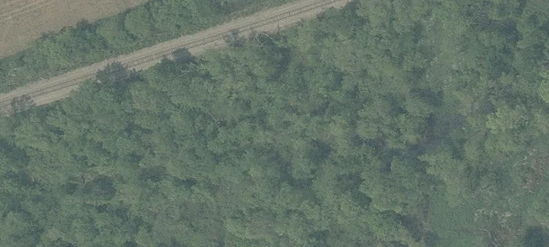 State Rte 93