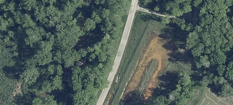 State Rte 800