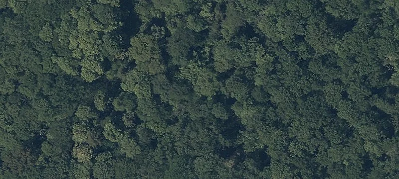 Forbes Rd