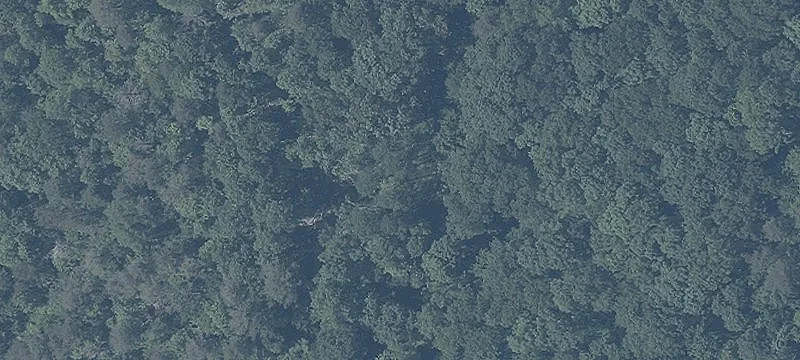 Dav Rd