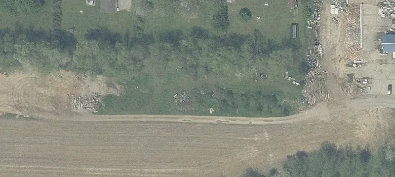 Mushroom Rd