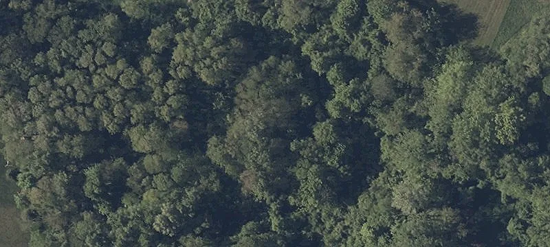 Cleveland