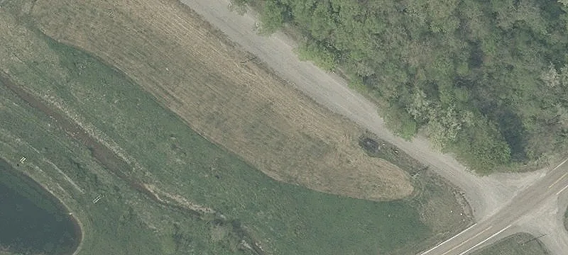 Tr 293