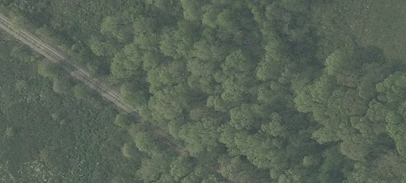 Arbor Rd