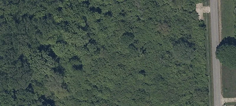 Fairway