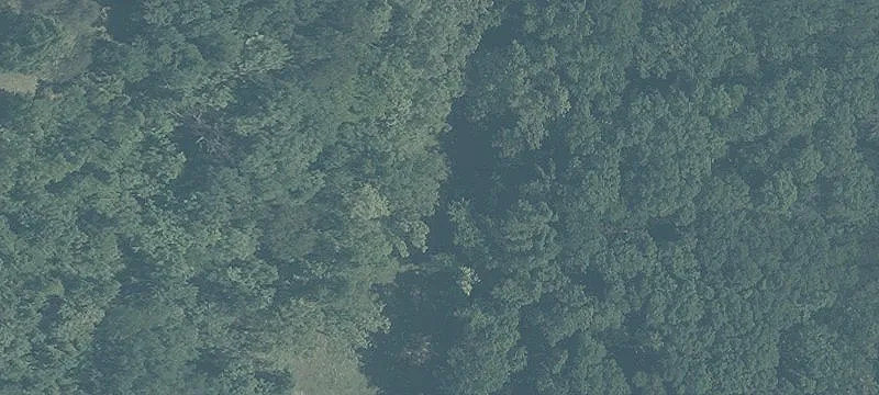 178 Private Rd 19423