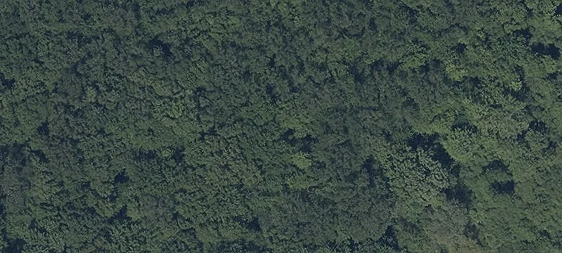 Fairway