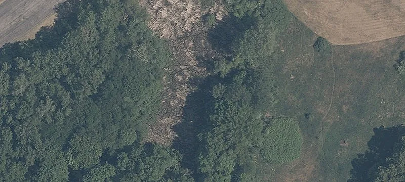 Wingfoot Rd