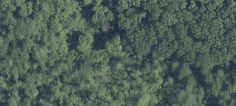 Holiday Ave